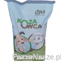 koza-2.png