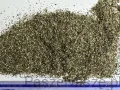 urtica dioica TBC.jpeg