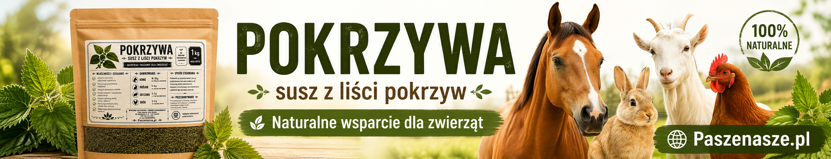 pokrzywa